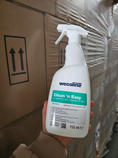 wecoline Clean 'n Easy Desinfektionsspray 750ml menthol